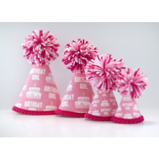 Birthday Girl Pink Ink - Pup Party Hats