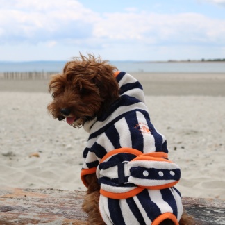 Dog Drying Robe - Navy / Sea Salt (Harbour Hounds)