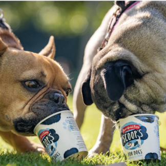 Scoops Ice Cream for Dogs - Mint or Vanilla